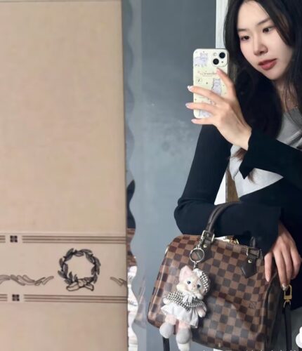 Louis Vuitton Damier SPEEDY 25 N41181 photo review