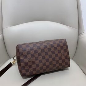 Louis Vuitton Damier SPEEDY 25 N41181 photo review