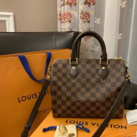Louis Vuitton Damier SPEEDY 25 N41181 photo review
