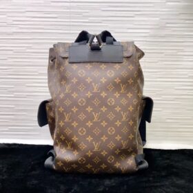 Louis Vuitton Christopher PM M43735 photo review